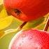 Apple The Most Important Fruit Interesting Facts About Apple Tree