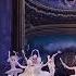 Sleeping Beauty Full Ballet Elizaveta Barkalova Roman Belgorodskiy