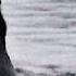 That S Why The Brown BEAR Is The Most DANGEROUS Predator The Forest Giant Goes HUNT