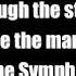 Symphony Of Destruction Lyrics