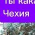 С Германии в Чехию ответы на ваши вопросы