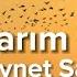 Ziynet Sali Efkarım Var Lyrics Şarkı Sözleri