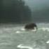 Woolly Mammoth Caught On Camera Shorts Scary