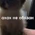 мем быстро спать