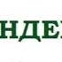 АНДЕРСЕН ГАДКИЙ УТЁНОК читает Оксана Перуцкая