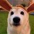 KING CHINA GWENCHANA DING DING DING DOG Cute