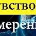 Фрэнк Кинслоу Эйфо чувство и сила Намерения Глава 5 Эйфо чувство аудиокнига