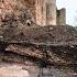 Раскопки Что можно найти под Ивангородской крепости 2020 What Can Be Found Under Fortress