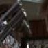 Arnold Gun Shopping Terminator