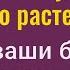 Болезни ослабнут или уйдут совсем если воткнёте булавку в это растение