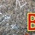 100 мл до ЕДЫ вытянет всю гадость из организма вместо таблеток от 100 болячек
