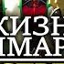 ЖИЗНЬ ПРИМАРХОВ ДО ТОГО КАК ИХ НАШЕЛ ИМПЕРАТОР WARHAMMER 40000