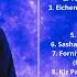 Quivver Controlled Substance January 2025 2025 01 31 With Tracklist