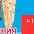 Откровения Ангелов Хранителей Начало 1 Любовь Панова Что происходит после смерти Читает Таль Ман