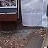 Winterizing Chicken Coop Run In 10 Minutes