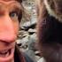 Why The Grizzly Man Didn T Survive Eaten Alive On Camera