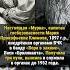 НАСТОЯЩАЯ МУРКА историяизжизни редкие история