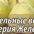 Вебинар 24 Садоводство глазами Валерия Железова