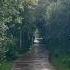 Летний дождь в лесу промокла но зато красиво Nature Mood Rain Summer