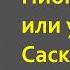 Джеймс Фенимор Купер Пионеры или у истоков Саскуиханны Часть вторая Аудиокнига