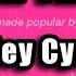 Miley Cyrus Party In The U S A Karaoke Version