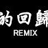 不是花火呀 爱的回归线 DJ抖音 Remix 抖音热门歌曲 在愛的回歸線 又期待會相見 天會晴心會暖 陽光在手指間 抖音 Hot Tiktok Douyin Baozhang Remix