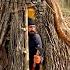 Building A Secret Shelter Deep Inside Big Tree