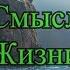 Тулукут Смысл Жизни