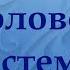 Усиление половой системы Мужской настрой Сытина