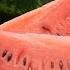 How To Correctly Serve A Watermelon