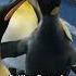 11 Weird Bird Sounds