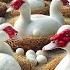 Muscovy Duck Harvesting Muscovy Duck Eggs Poultry Business