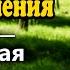 011 Библейская минута Инструмент душепопечения Алексей Прокопенко
