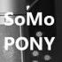 Ginuwine Pony Rendition By SoMo