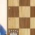 This Is Why Evans Gambit Is The Greatest Opening Ever