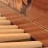 Piano Sonata No 1 In F Minor Op 2 No 1 III Menuetto Allegretto