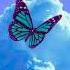 FREE SLAVA MARLOW Х DABABY Type Beat BLUE BUTTERFLY Prod By WNDWS