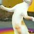 Chunni Mein Perfume Lal Chunri Dj Remix Dj Song Dj Song Love Funny Mus Genre Mor