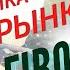 Обновление Настройка Фибоначчи Ответы на вопросы Обзор рынка