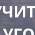 Как быстро и эффективно научиться чему угодно 10 принципов Обзор книги