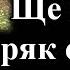 Руският президент каза че ударите със западни ракети в страната означава конфликт с НАТО 13 09 24