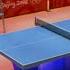 Mario Sonic At The Olympic Games Table Tennis All Characters