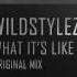 Wildstylez Atmozfears What It S Like Official Audio