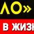 ПРОВЕРЕНО ЭТО САМАЯ МОЩНАЯ ТЕХНИКА от Индийского Гуру Свами Шивананда