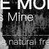 Depeche Mode 01 My Cosmos Is Mine 432hz 423hz