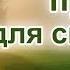 Единственный путь для спасения Костенко А Проповедь МСЦ ЕХБ