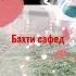 Rest Pro Ralik БАХТИ САФЕД
