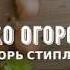 Эко Огород секреты органического земледелия