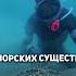 Смелое погружение морские приключения охотника Freekino