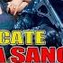 RESCATE A SANGRE Y PLOMO PELICULA COMPLETA NARCOS Ola Studios TV